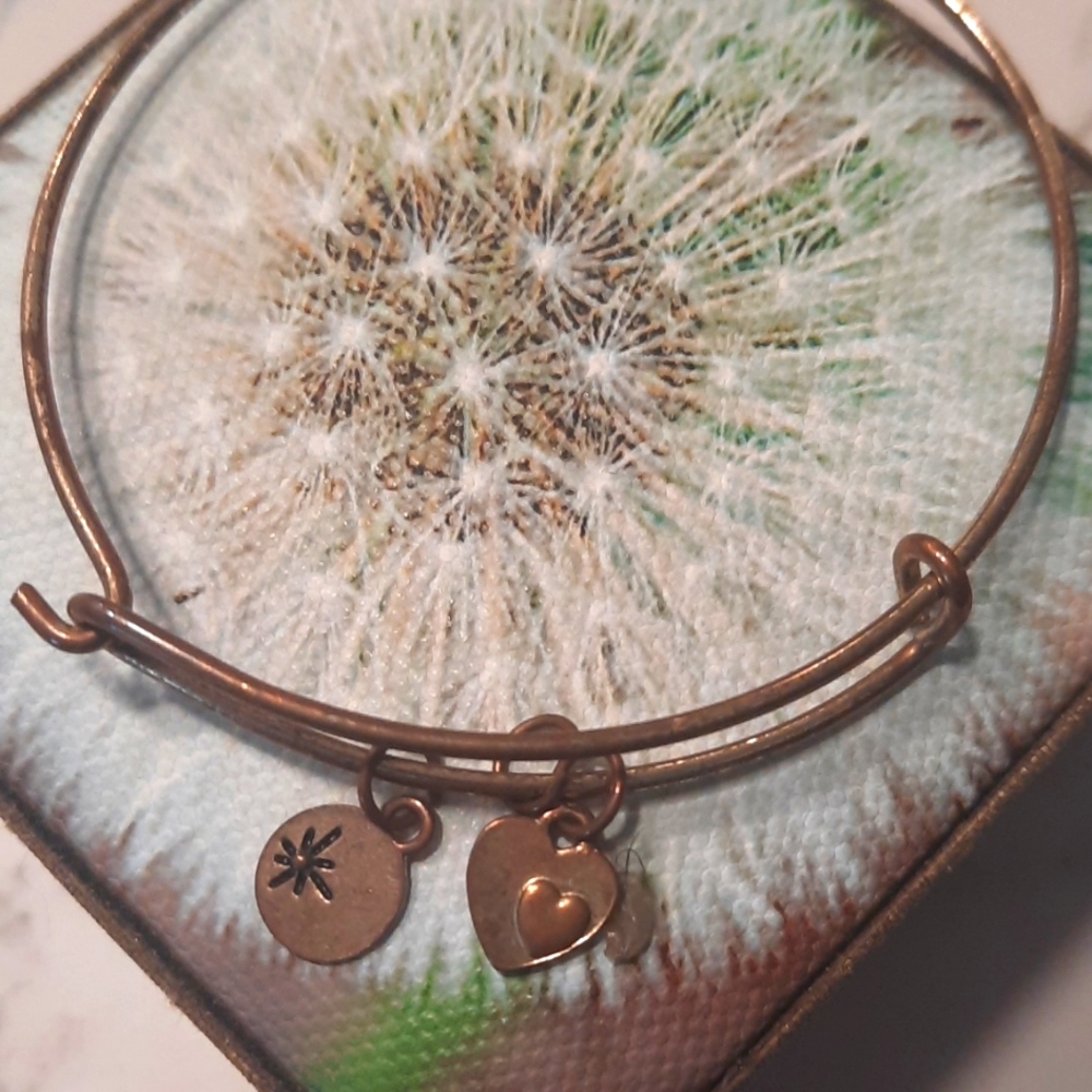 Alex & Ani Set "Energy" ❤️ - Picture 5 of 7